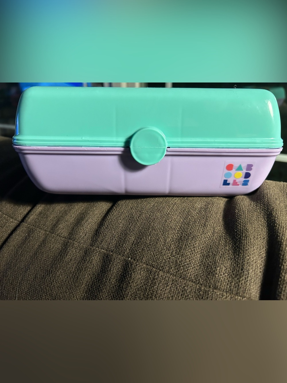 Mint & Lavender Caboodles Case